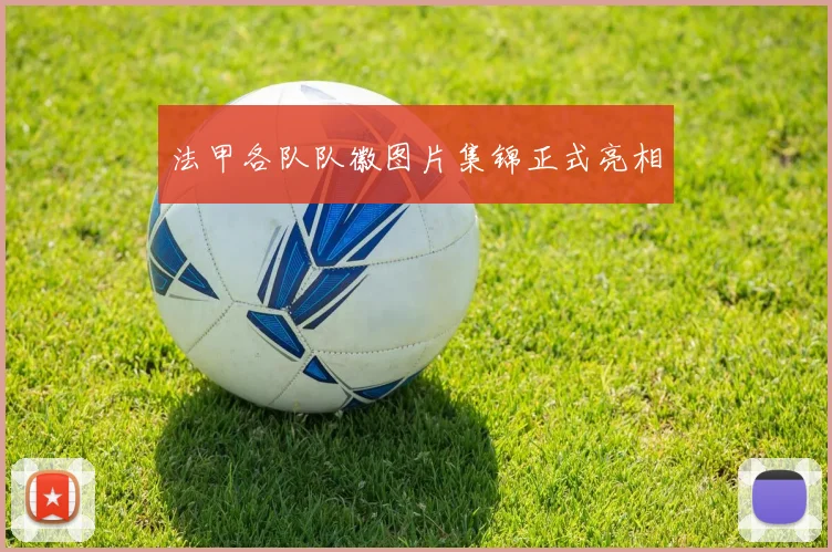 法甲各队队徽图片集锦正式亮相