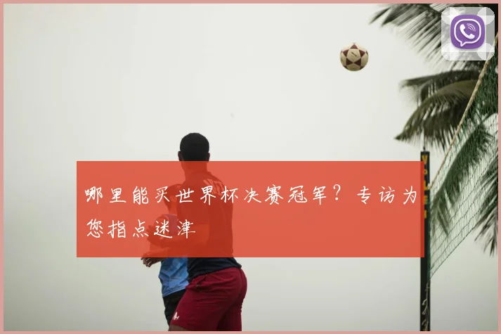 哪里能买世界杯决赛冠军?专访为您指点迷津