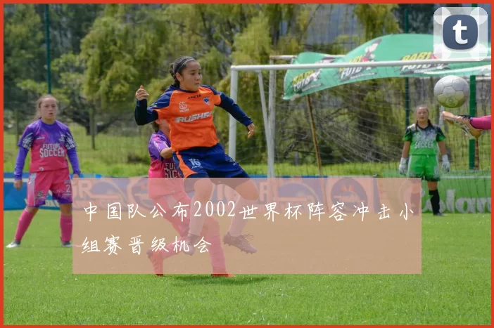 中国队公布2002世界杯阵容冲击小组赛晋级机会