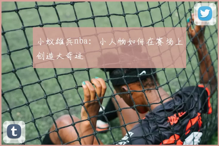 小蚁雄兵nba：小人物如何在赛场上创造大奇迹