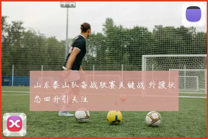 山东泰山队备战联赛关键战 外援状态回升引关注