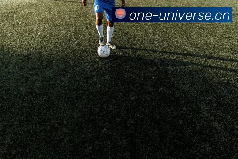 乐鱼体育app登录入口APP 封面图